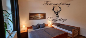 Gästehaus Hirschstein - Hochwertige Ferienwohnung in sehr ruhiger Lage direkt am Fluss Göltzsch